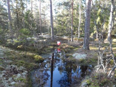 Tävlingsdagens morgon och kontrollen sankmarken speglar sig i vattnet. 