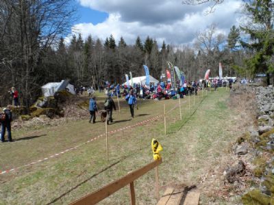 Arenan vid Torsås OK:s tävling i Bodhyltan 2013. Här arrangerade vi året innan klubbens första DM. Både medel-DM 2012 och tävlingen 2013 gick i drömterräng där banorna 2013 avslutades i det otroligt fina hägnet i Bodhyltan. Som vanligt hade vi 