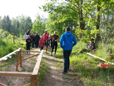 Starten vid Torsås OK:s etapp av Ungdomens 5-dagars 2014.