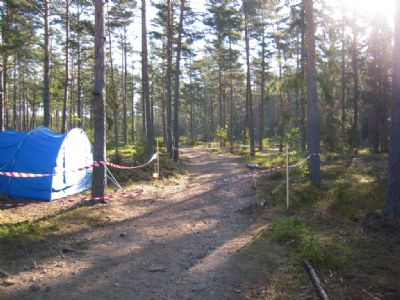 En härlig morgon i Söderåkraskogen innan vi höll en friluftsdag för åk 9 från Torskolan. Visst har vi 