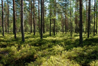 Terrängbild Söderåkra