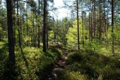 Terrängbild Söderåkra