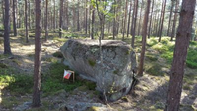Kontrollen stenen i Söderåkraterrängen inför DM lång hösten 2016.
