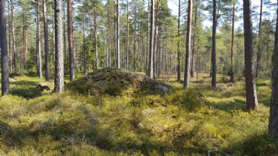 Kontrollen stenen väntar i den fina terrängen på Söderåkrakartan.