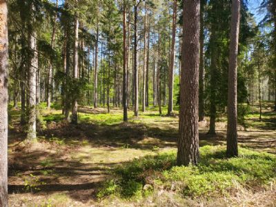 Det &auml;r nu v&auml;ldigt &ouml;ppet och l&auml;ttl&ouml;pt i Sunelycke. Det var verkligen njutbart i terr&auml;ngen!