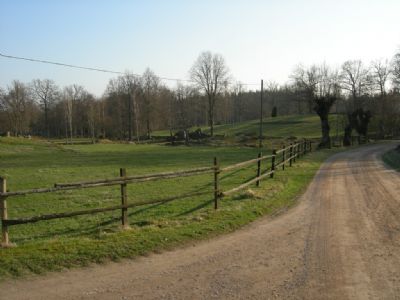 Utsikt över åkern med naturlig läktare i Degerhyltan. Här har vi haft arena vid tävlingar 2009 och 2023. Arenan blir inte sämre av de underbara hagmarkerna där vi haft knatteknat.